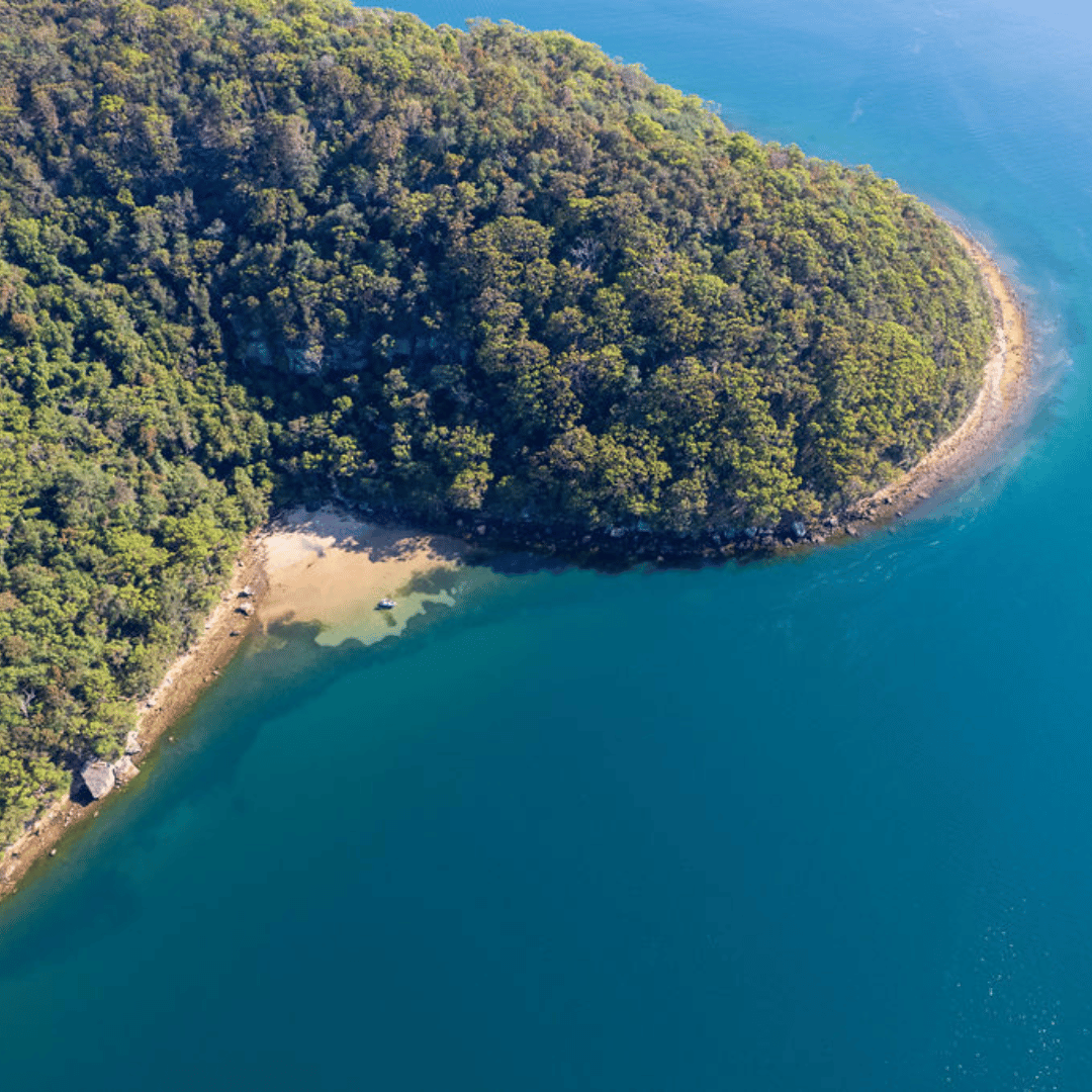 Northern Beaches Boating Serenity Tours Perry Beach